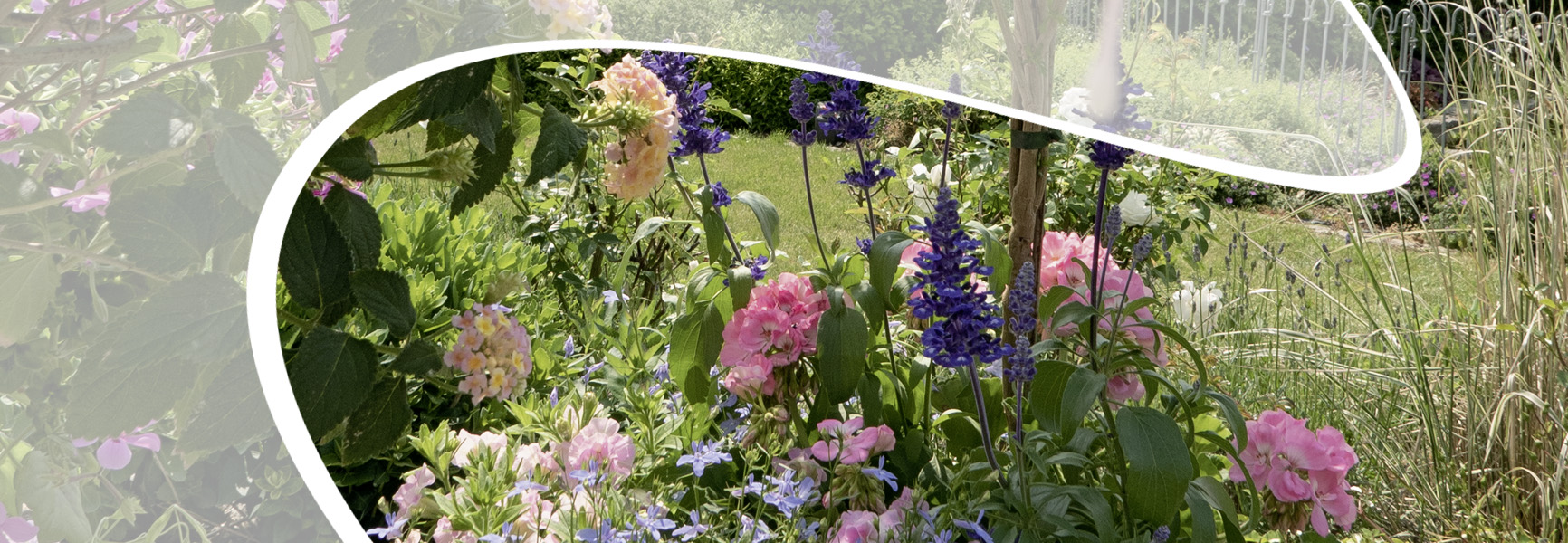 Sommerblumen von Martina Ziegler Gartenbau – Spezial-Kulturen 97350 Mainbernheim